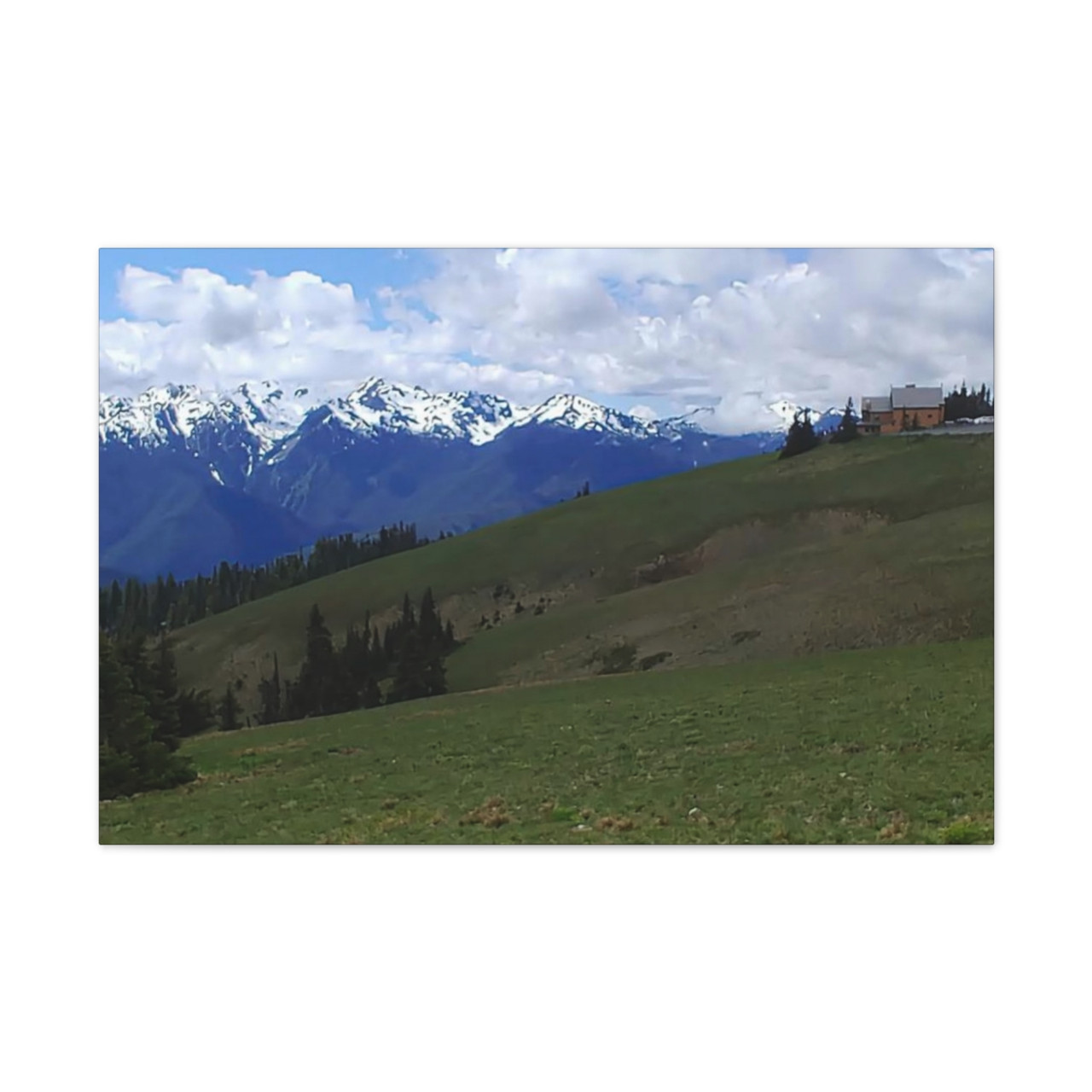 Washington Countryside - Stretched Canvas Print
