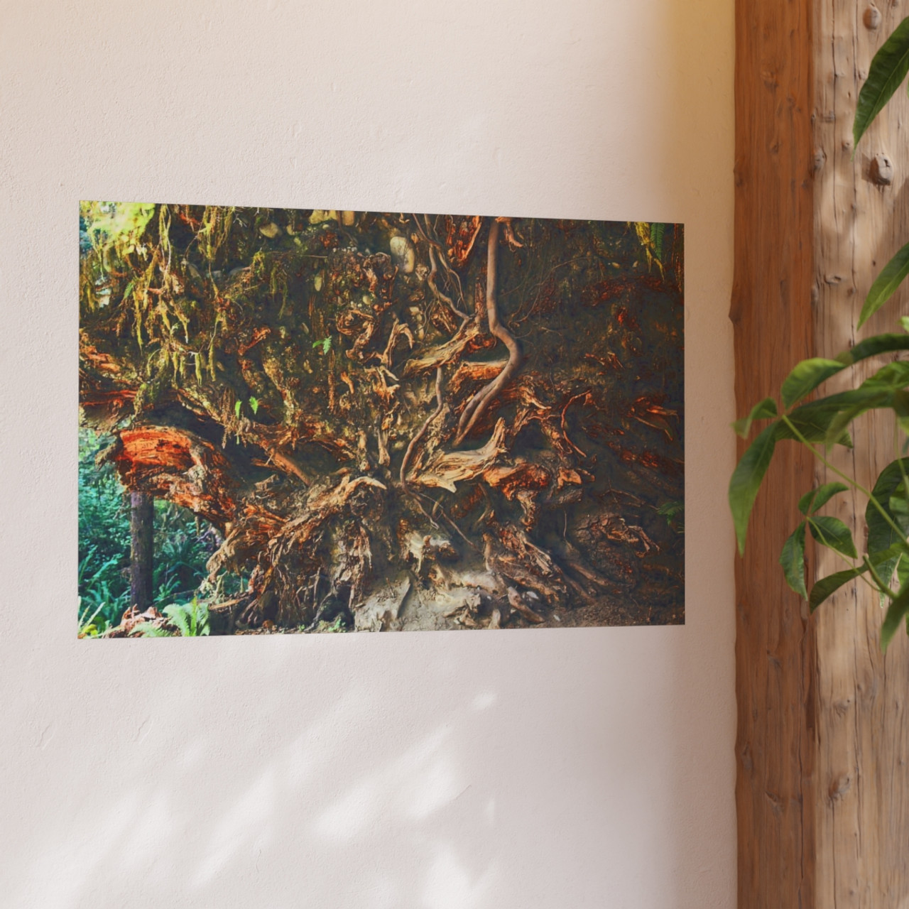 Back To Your Roots - Photographic Print