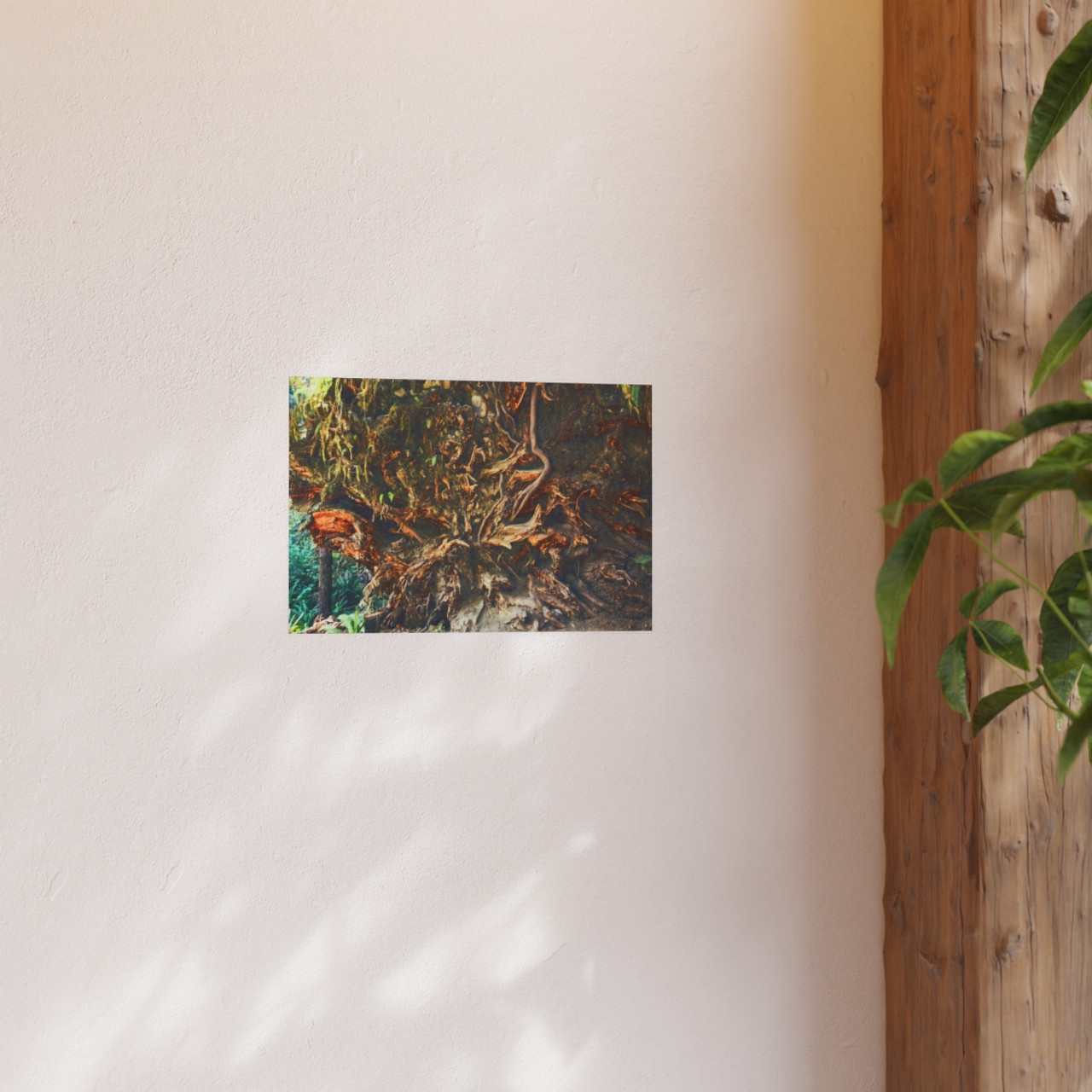 Back To Your Roots - Photographic Print
