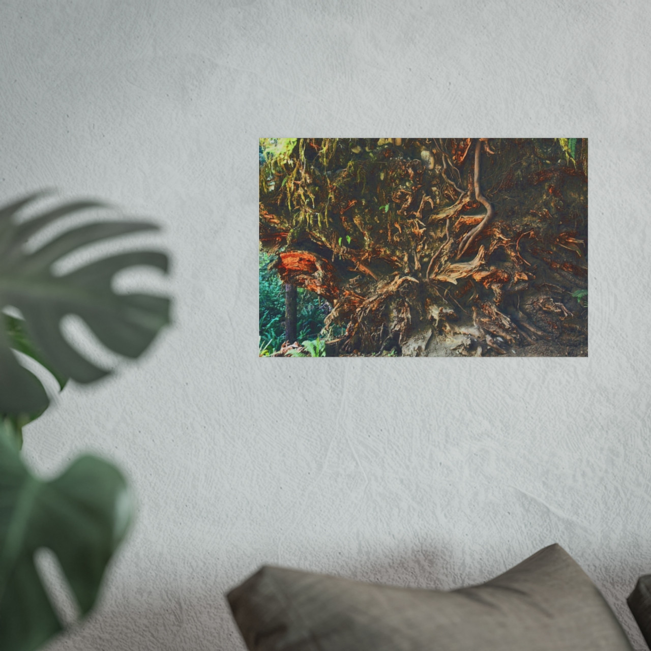 Back To Your Roots - Photographic Print
