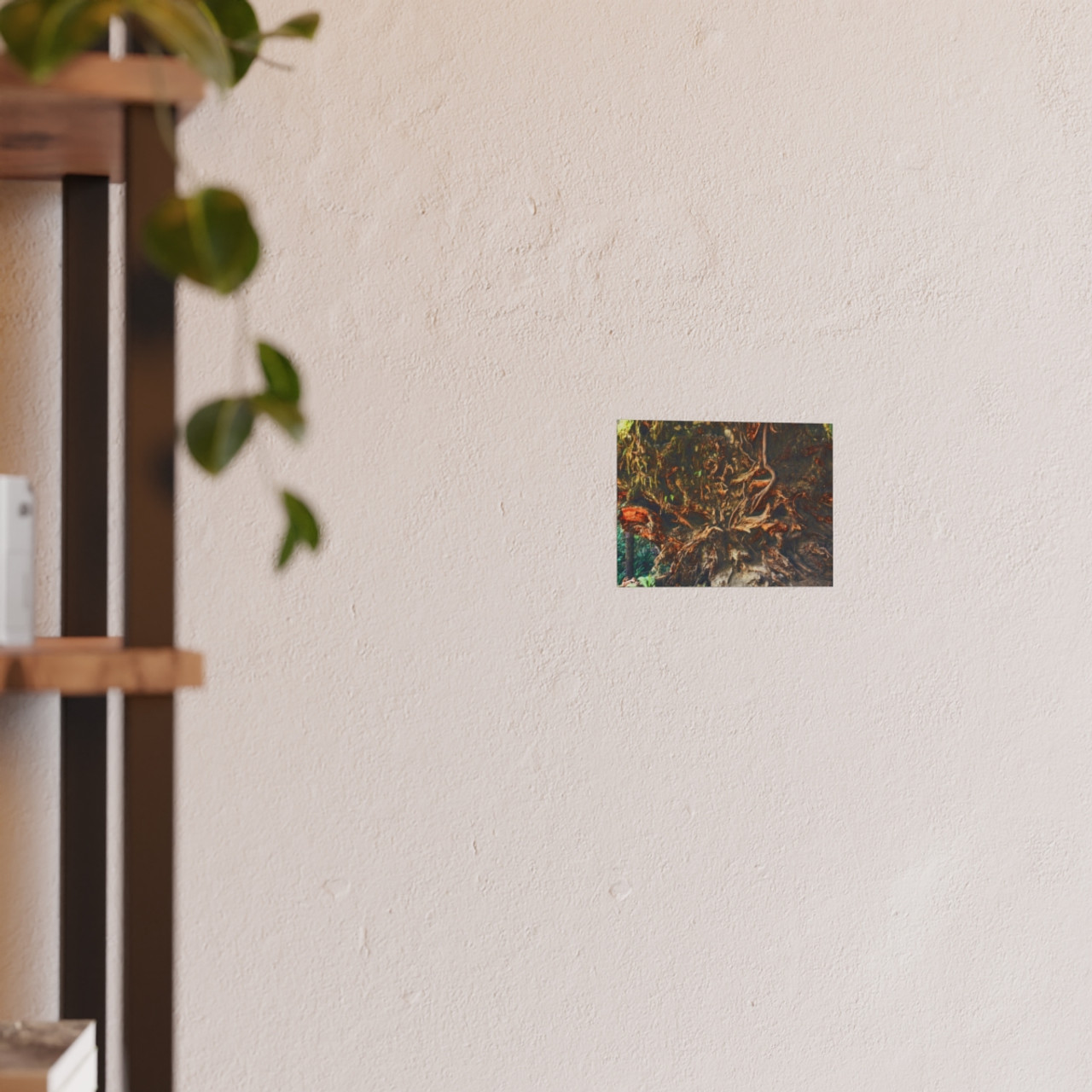 Back To Your Roots - Photographic Print