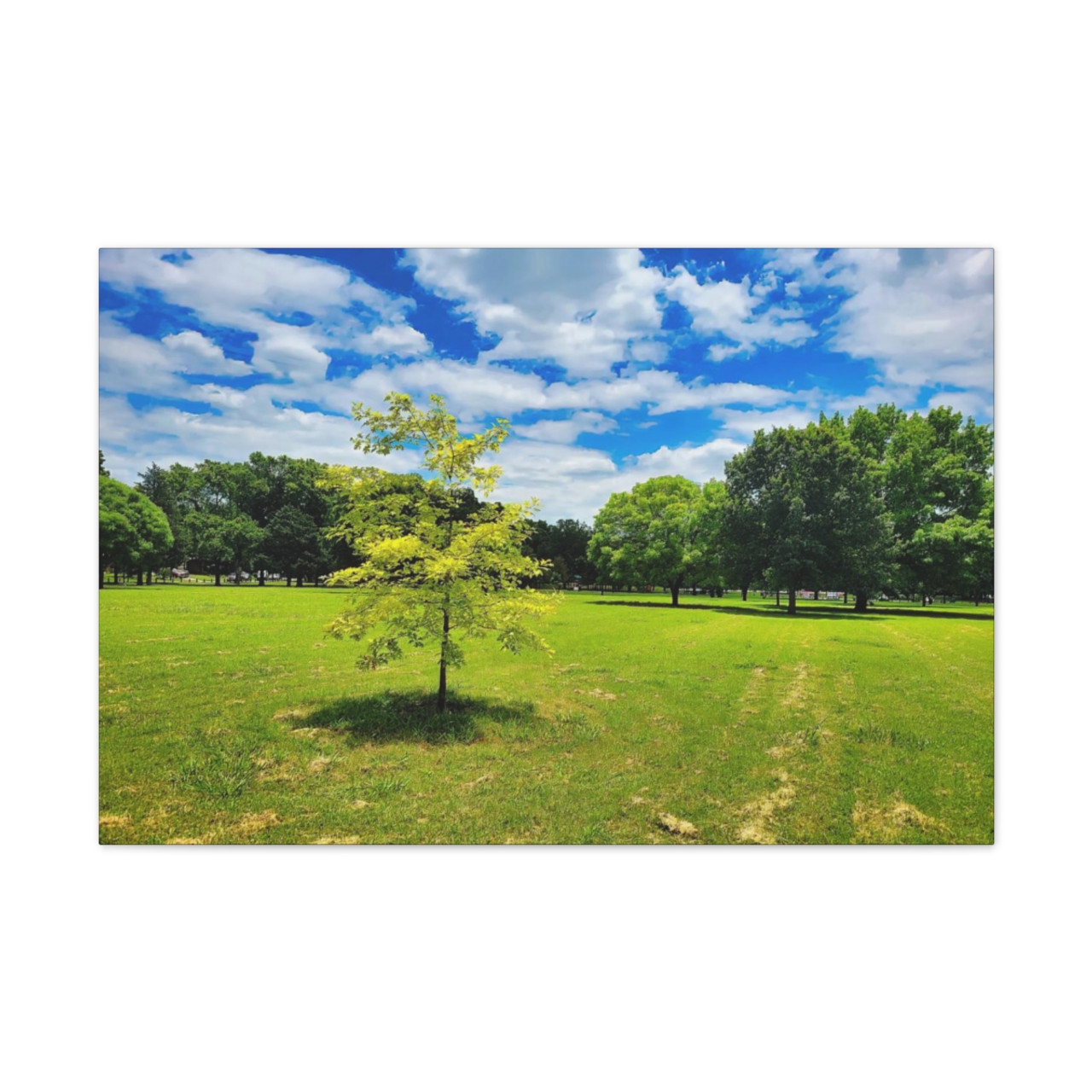 Sunny Day - Stretched Canvas Print