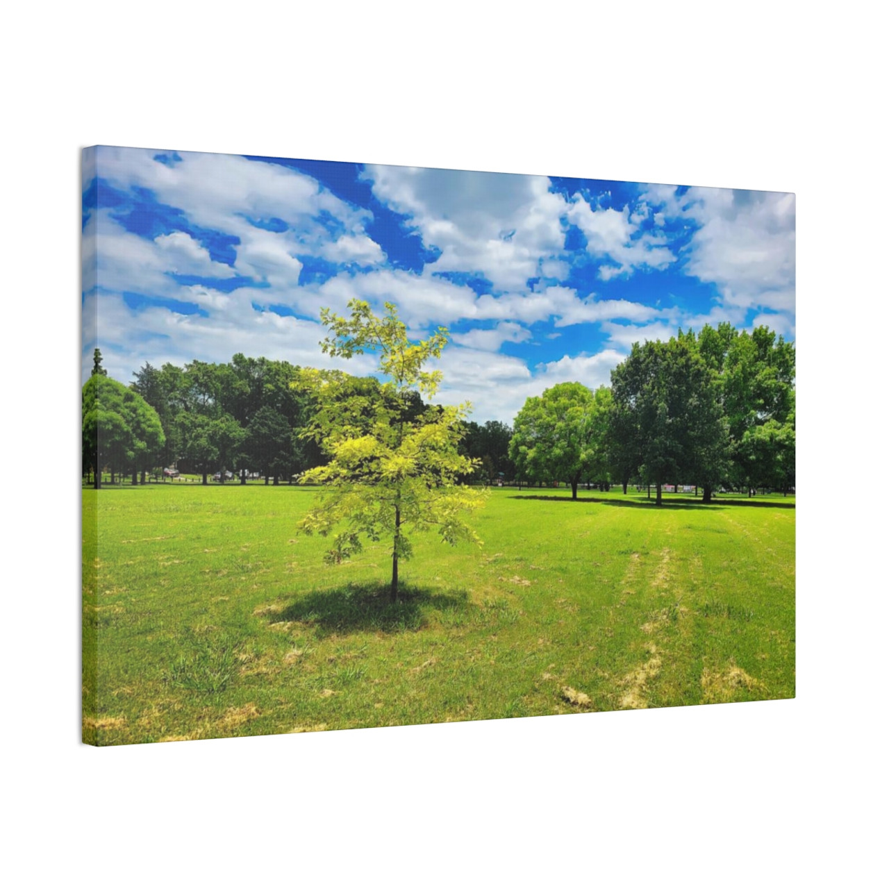 Sunny Day - Stretched Canvas Print
