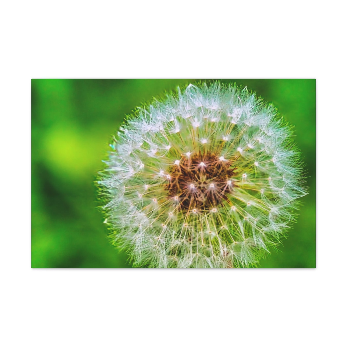 Ready to Start Over - Stretched Canvas Print