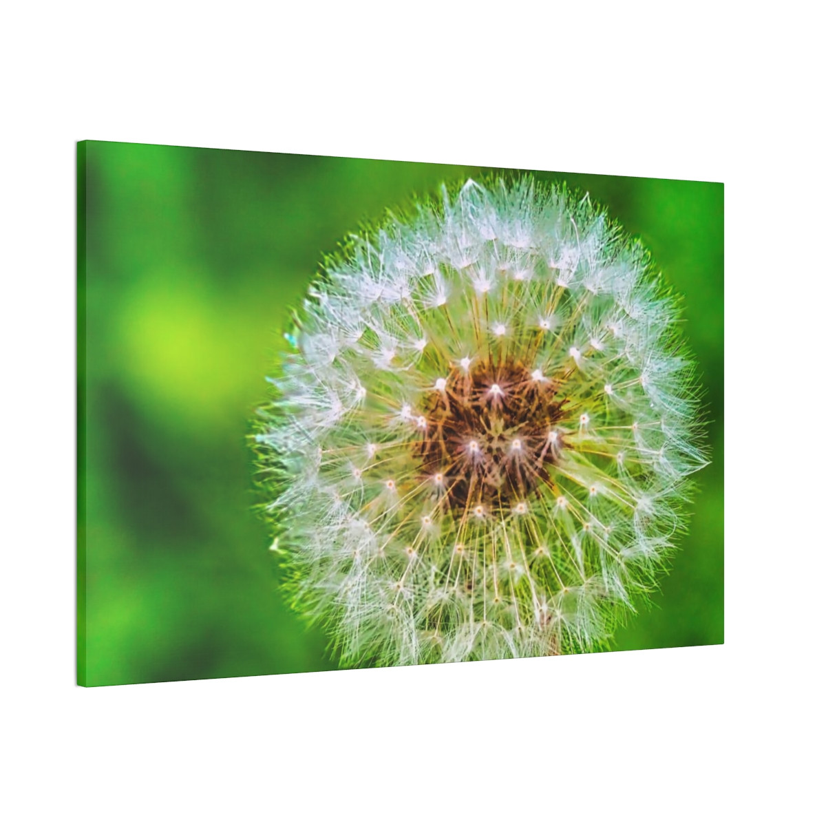 Ready to Start Over - Stretched Canvas Print