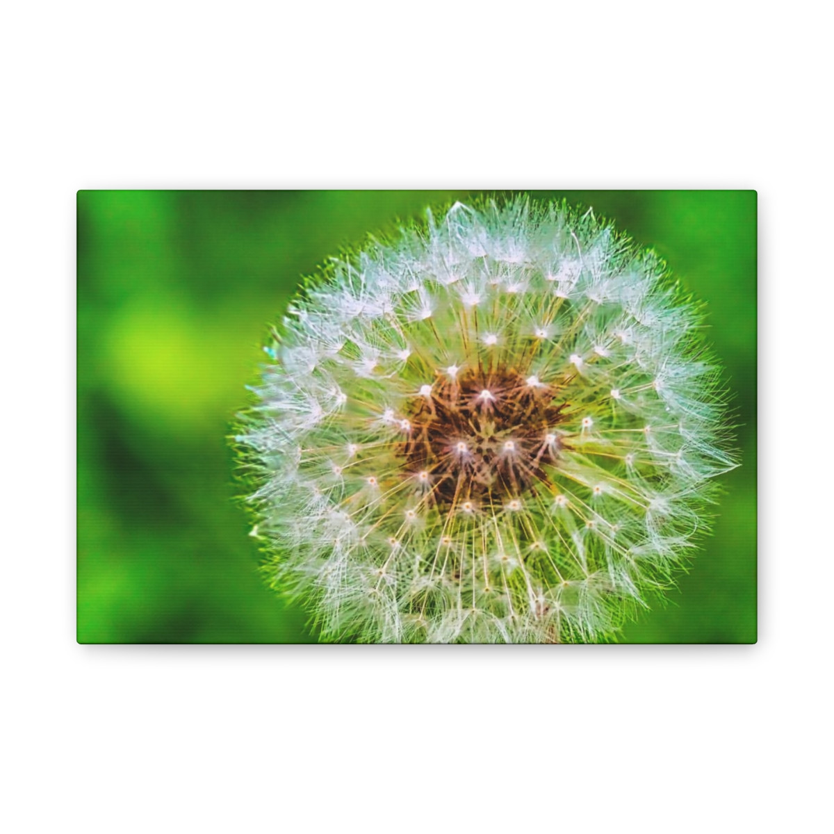 Ready to Start Over - Stretched Canvas Print