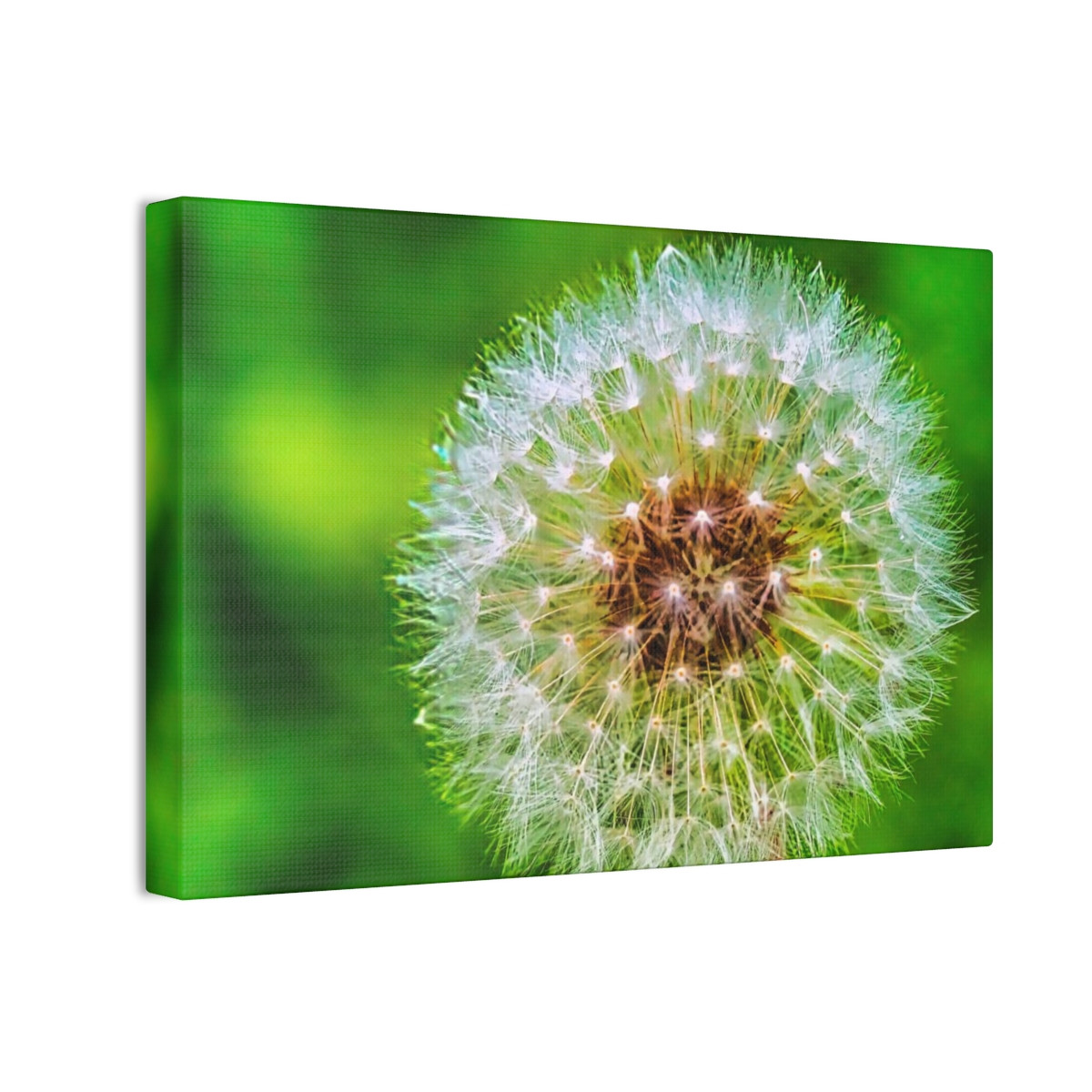 Ready to Start Over - Stretched Canvas Print