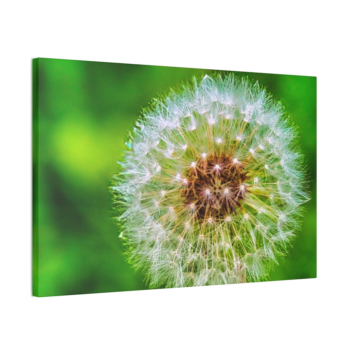 Ready to Start Over - Stretched Canvas Print