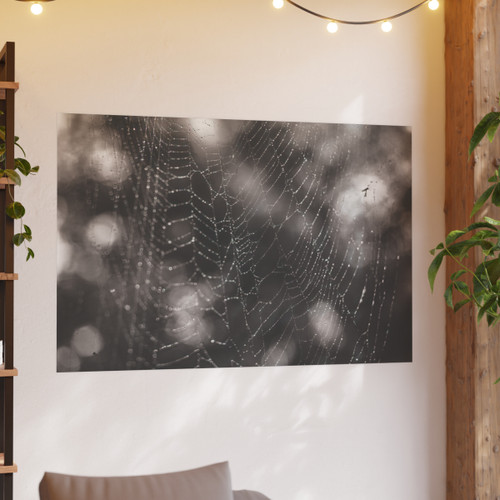 The Webs We Weave - Photographic Print