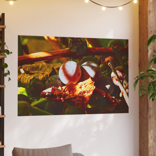 Berries- Photographic Print