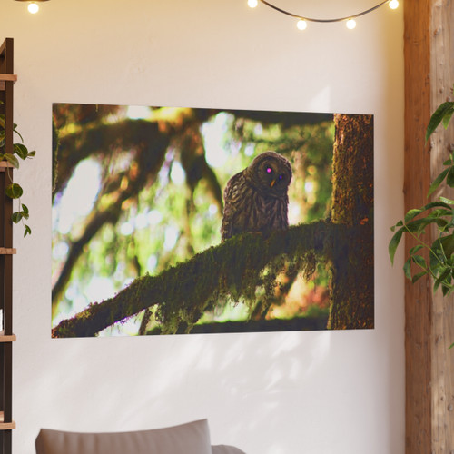 Watchful Kami - Photographic Print