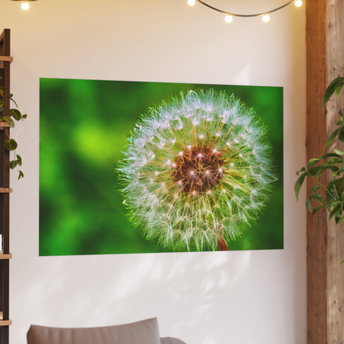 Ready to Start Over - Photographic Print
