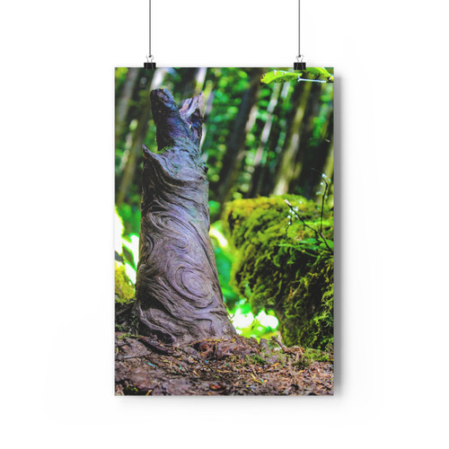 I Am Root - Giclee-Printed Fine Art Photographic Print on Museum Grade Paper