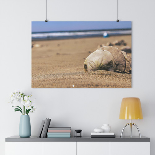 A Few Dollars - Giclee-Printed Fine Art Photographic Print on Museum Grade Paper