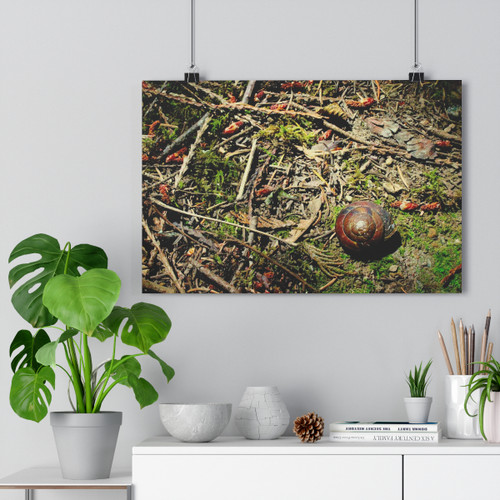 The Slow Lane - Giclee-Printed Fine Art Photographic Print on Museum Grade Paper