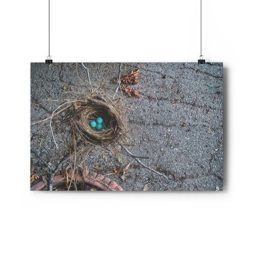 Urban Nest - Giclee-Printed Fine Art Photographic Print on Museum Grade Paper