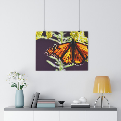 Monarch - Giclee-Printed Fine Art Photographic Print on Museum Grade Paper