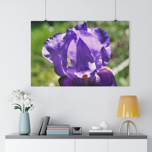 Purple Crown - Giclee-Printed Fine Art Photographic Print on Museum Grade Paper