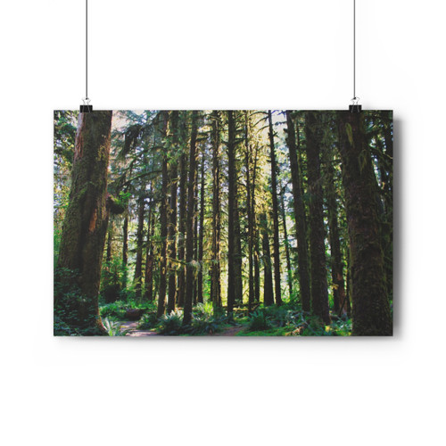 Ancient Copse - Giclee-Printed Fine Art Photographic Print on Museum Grade Paper