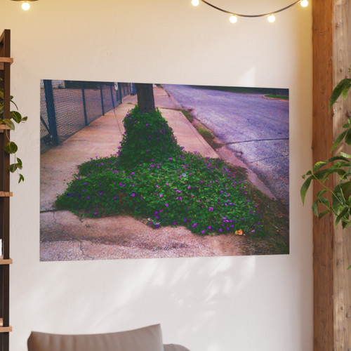 Glory of the Morning - Photographic Print