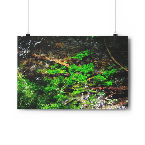 Mystic River - Giclee-Printed Fine Art Photographic Print on Museum Grade Paper