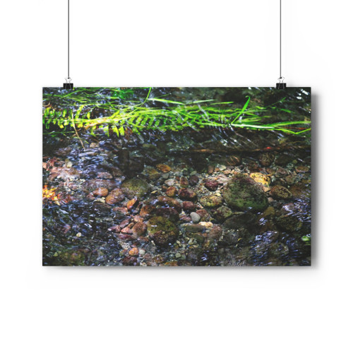 Stoney Creek - Giclee-Printed Fine Art Photographic Print on Museum Grade Paper
