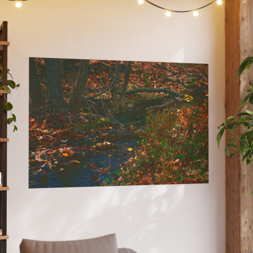 Whispering Brook - Photographic Print