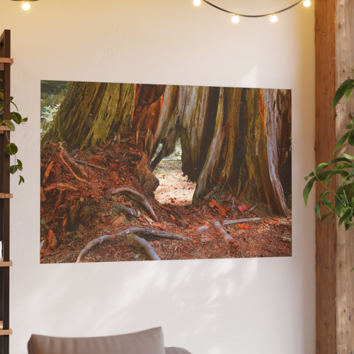 Window Through Entropy - Photographic Print