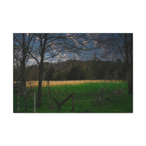 Amber Waves - Stretched Canvas Print