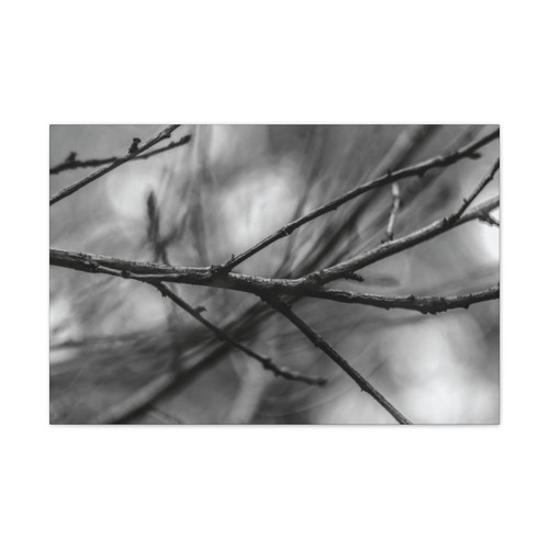 Winter Branch - Stretched Canvas Print