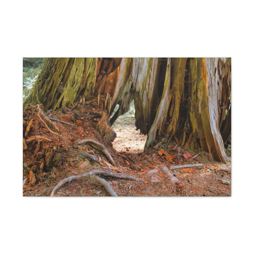 Window Through Entropy - Stretched Canvas Print