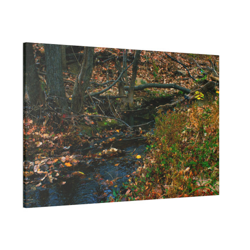 Whispering Brook - Stretched Canvas Print
