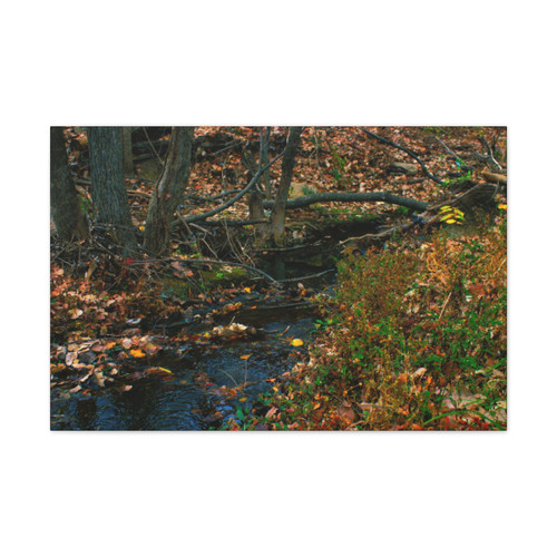 Whispering Brook - Stretched Canvas Print