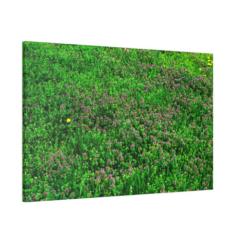 Mint Blooms- Stretched Canvas Print