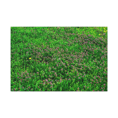 Mint Blooms- Stretched Canvas Print