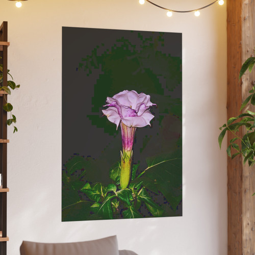 Devil's Trumpet - Photographic Print