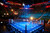 PRO Fight Rings