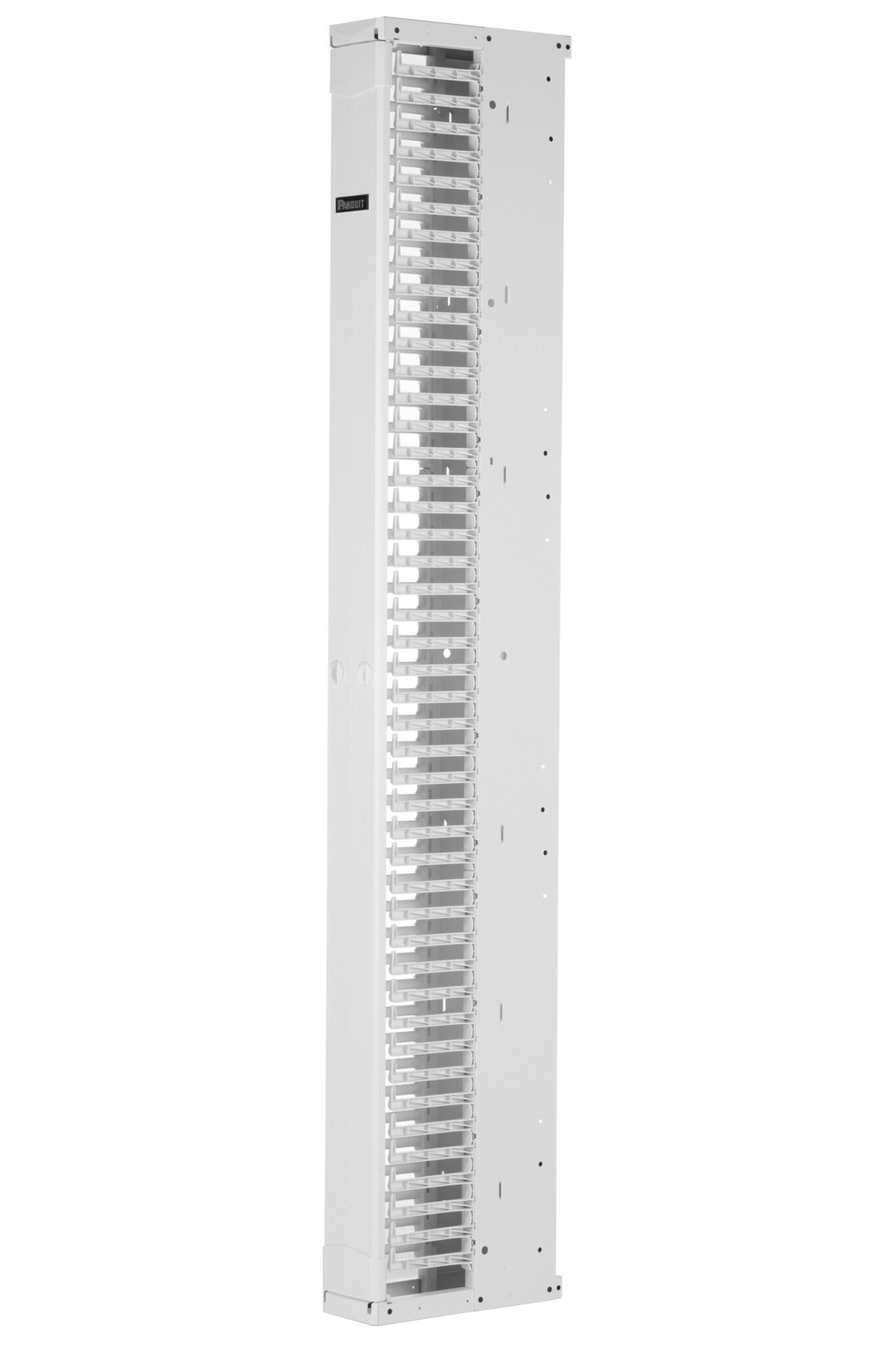 Panduit PE2VFD06WH rack accessory Cable management panel