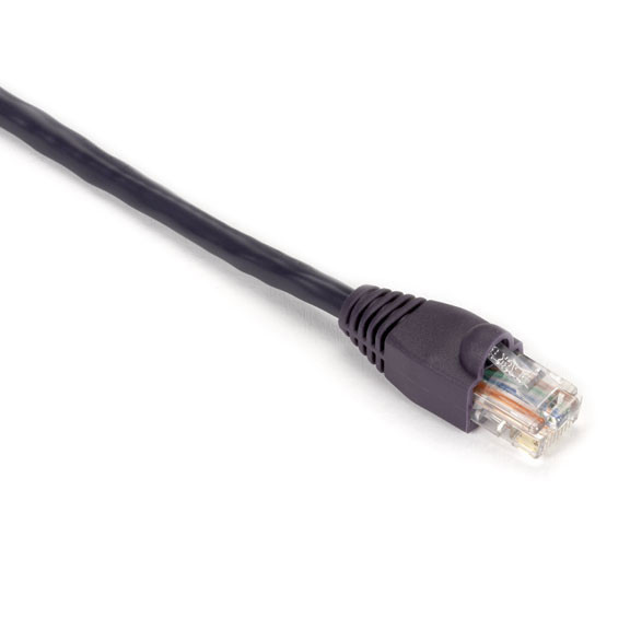 CAT5E 350-MHZ Snagless Stranded Ethernet Patch Cable - Unshielded (UTP), CM PVC EVNSL88-0010