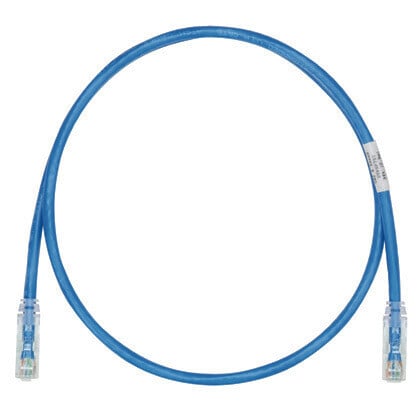 Panduit UTP, Cat6, 0.6m networking cable Blue U/UTP (UTP)