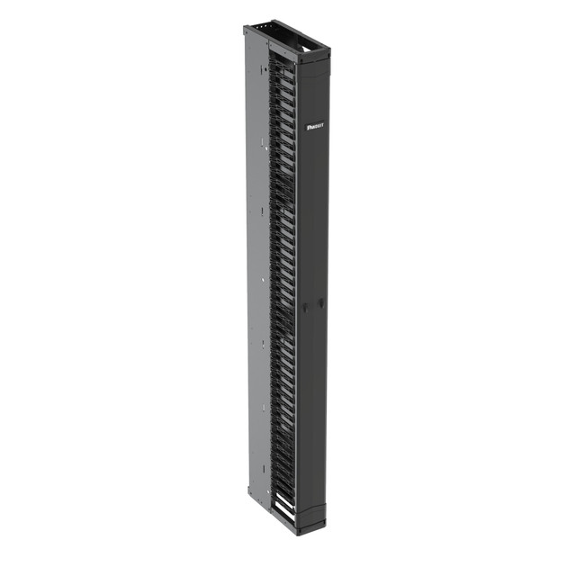Panduit PE2VFD06 rack accessory Cable management panel