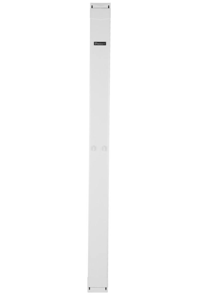 Panduit PE2VFD08WH rack accessory Cable management panel