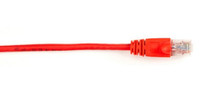 Black Box C5EPC70S-RD-02 networking cable Red 0.6 m Cat5e F/UTP (FTP)