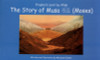 Prophet sent By ALLAH 15 Stories of Prophets Muslim kids Story Books