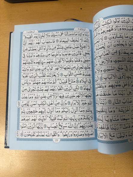 Al Quran Al Hakeem 208 Arabic Only(15lines with Urdu-Persian-Hindi Script)
