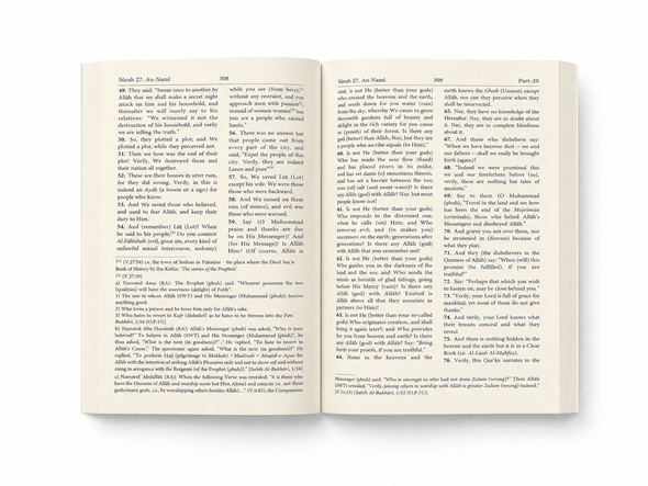 Interpretation of the Meanings of The Noble Quran in the English language