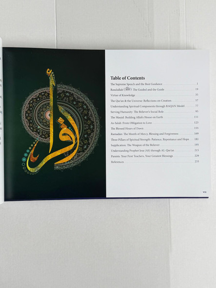 Pursuit of Divine Insight - A Journey Within