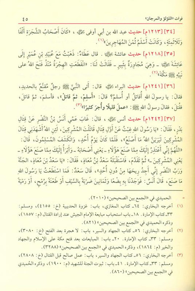 Lu'lu Wa-Al-Marjan Muslim / Bukhari اللوّلووَالمرجان فيما اتفق عليه الشيخان vol 1&2, 9789933531331 