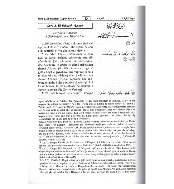 Noble Quran in Albanian Language : Kur'anit Te Larte (22353)