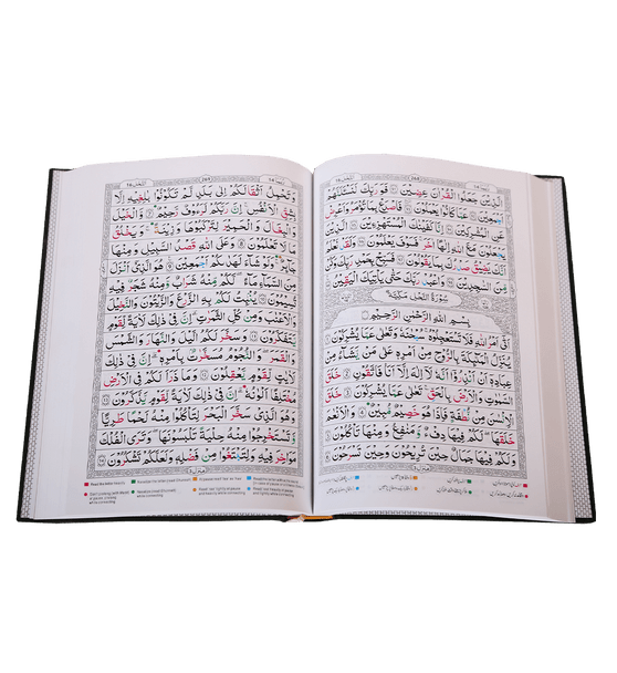 Tajweed Quran ( Persian, Urdu,hindi & South African Script with 15Lines )